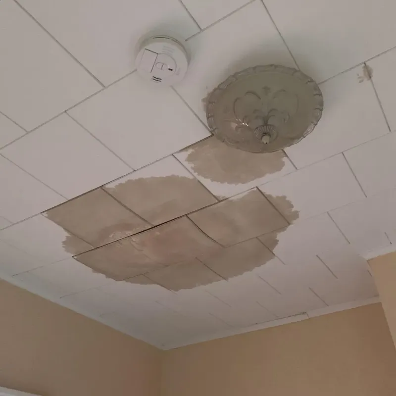 Ceiling Water Damage Repair in Cedar Grove, WI