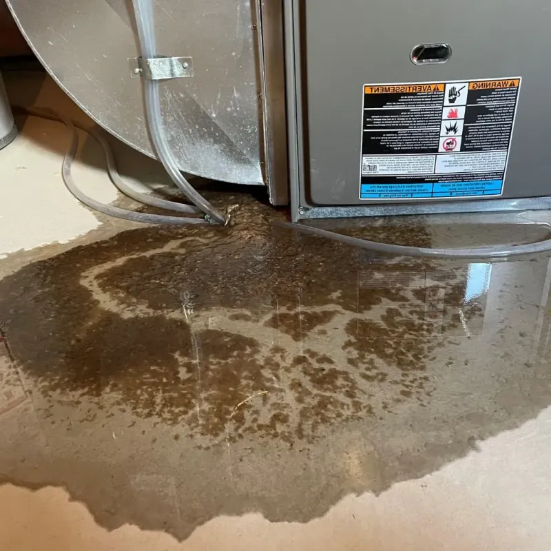 Pipe Burst and Leak Restoration in Cedar Grove, WI